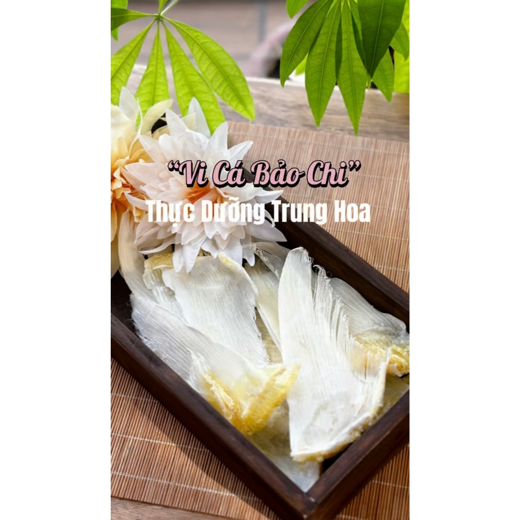 Vi Cá Vây Cánh Móc Xanh (100Gram)