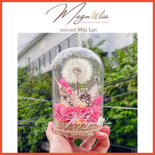 Set Quà Tặng chụp thuỷ tinh hoa khô bồ công anh