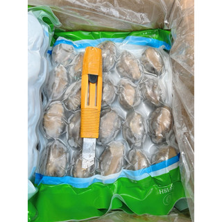 Bào Ngư Hàn Quốc size 1kg~20 con