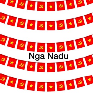 Dây Cờ Sao Vàng,tổ quốc,cờ dây Chúc Mừng Năm Mới-cờ đuôi nheo treo đường phố,nhà Chùa,trường học,quán cà phê
