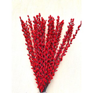 Nụ tầm xuân hoa kẽm nhung loại 1