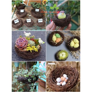 Tổ chim handmade làm từ gỗ mây hàng dầy dặn derco tổ chim trứng chim mô hình, làm chậu trồng sen đá làm chậu treo