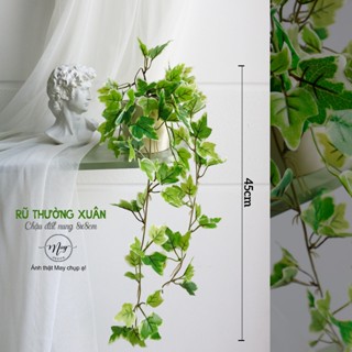 Cây giả, Cây lá rũ có kèm chậu đất nung