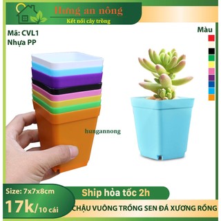 CVL1 - Sét 10 chậu vuông nhựa PP chuyên trồng sen đá xương rồng bonsai cây để bàn size 7x7x8cm