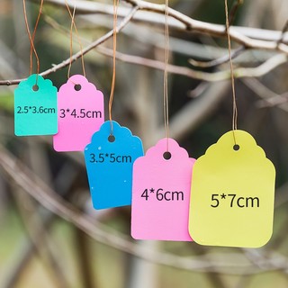Set 100 thẻ treo màu bằng nhựa đánh dấu cây trồng name tag 4.5*3cm
