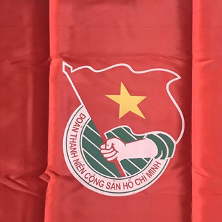 Cờ ĐOÀN Thanh niên Việt Nam, cờ đoàn