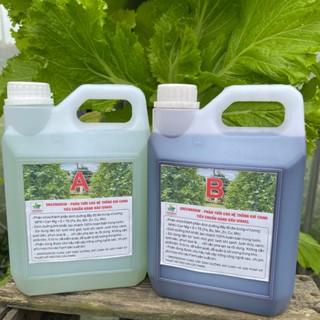 dinh dưỡng trồng rau khí canh, thủy canh cho cây ăn lá và ăn quả (4 lít)