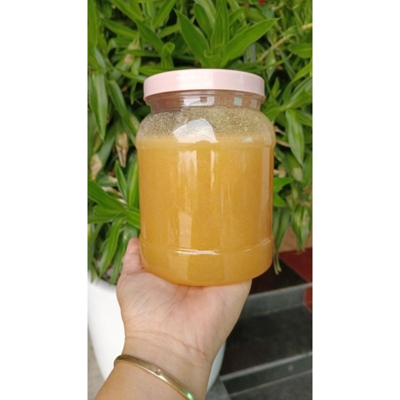 Mạch nha nếp