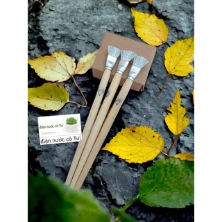 3 cây cọ sắt Kim Cương - cọ đánh rỉ