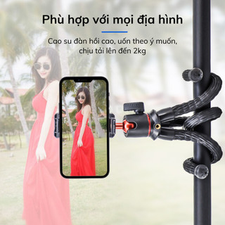 Tripod chân nhện Rec M11 đỡ điện thoại, máy ảnh