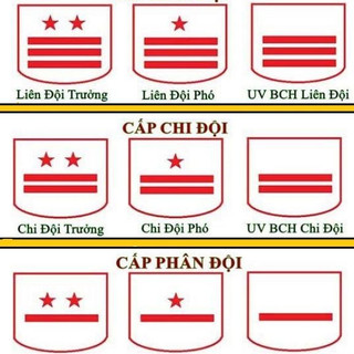 (1 cái) Cấp hiệu chỉ huy đội