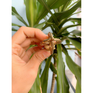 Chày kim cang 10 cm
