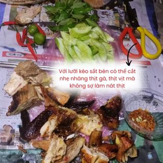 Kéo inox  cắt cành cán đỏ vàng (Vườn Sài Gòn - Vuon Sai Gon)
