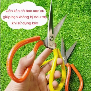 Kéo inox  cắt cành cán đỏ vàng (Vườn Sài Gòn - Vuon Sai Gon)