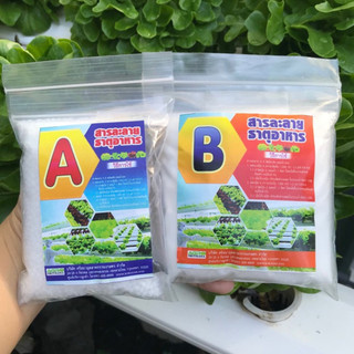 Dung Dịch Thủy Canh A+B Kokomax Thailand Dạng Bột Chuyên Cho Rau Củ Quả - 2 gói 400g