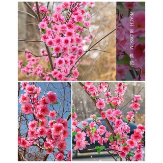 [4 màu] Cành hoa đào lụa decor trang trí tết ( nhánh hoa đào giả hoa nhựa )