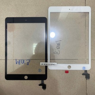 Cảm Ứng tương thích mini 3