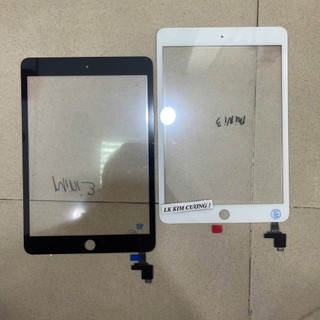 Cảm Ứng tương thích mini 3