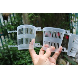 2 Chậu nhựa trong áp thân cây chuyên trồng lan thòng lan rừng các loại cây rễ bám