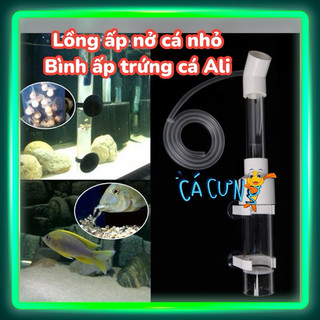 Bình ấp trứng cá Ali - Cá cichlid - Lồng ấp trứng cá nhỏ tiện lợi (Hàng Công Ty)