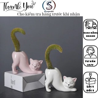 Chậu Trồng Xương Rồng Sen Đá Cây Mini Hình Mèo Sứ Cao Cấp Để Bàn Văn Phòng Cực Xinh
