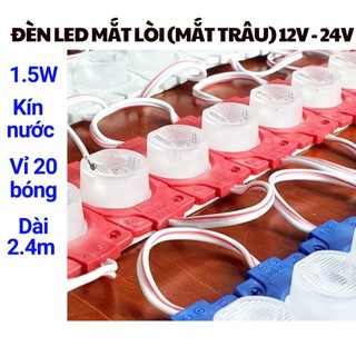 Led mắt trâu, led mắt lồi siêu sáng điện áp 12v -24v
