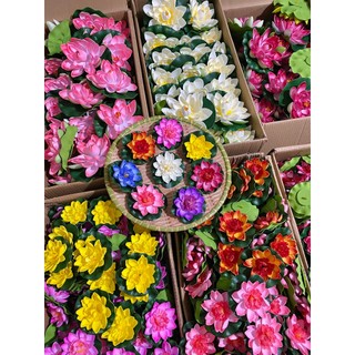 Hoa sen thả hồ trang trí tiểu cảnh thả bát tụ thủy,thả hồ,thả bể cá