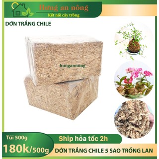 1kg Dớn Trắng Chile loại 5 Sao Chuyên dùng cho trồng lan, làm giá thể cho các loại cây trồng khác