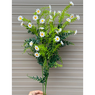 Cành điểm - cành điểm cúc mi trang trí hoa, decor siêu đẹp ạ