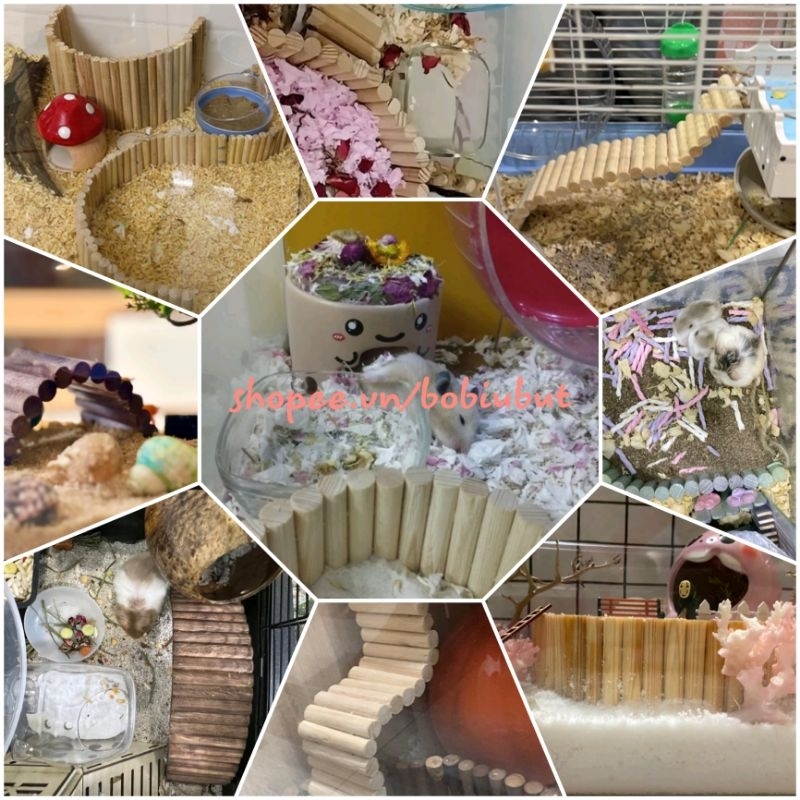 Thang Gỗ Tự Uốn Cong Tùy ý Cho Ốc mượn hồn,Hamster,Bò Sát..Vv
