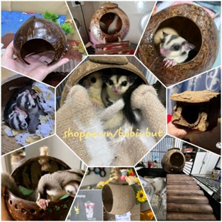 Hang,Nhà ngủ Gáo Dừa Cho Hamster, Ốc Mượn Hồn,Chim,Bò Sát v.v