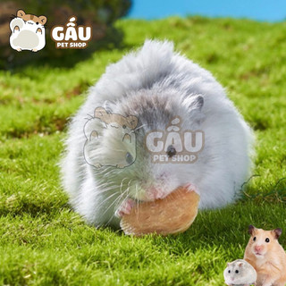 SNACK YEE dành cho Hamster vỗ béo