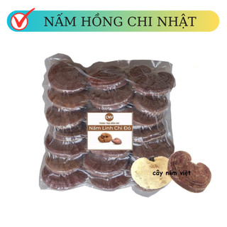 Nấm linh chi đỏ 500g (Hồng chi Nhật) - Cây Nấm Việt