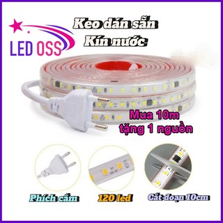 Dây led dán 2835 220v siêu sáng giá bán theo mét
