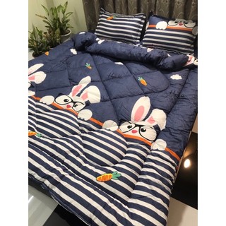 Chăn hè trần bông 3 lớp COTTON POLY  (Được chọn mẫu)