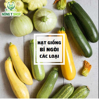 Hạt giống các loại bí ngòi Rạng Đông, bí ngòi xanh, bí ngoài vàng, bí ngòi tròn, dễ trồng, sai trái, dễ chăm