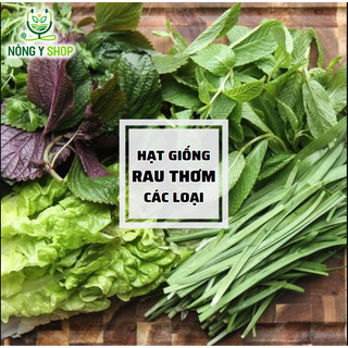 Hạt giống các loại hành lá, rau thơm, rau nêm Rạng Đông, húng lũi, húng quế, ngò gai, thì là, ngò, tía tô, cần, hẹ lá