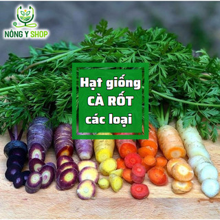Hạt giống các loại cà rốt Rạng đông RADO, cà rốt đỏ, cà rốt tròn, red carot