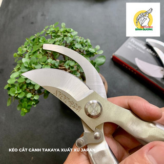 Kéo cắt cành takaya japan - kéo cắt cành cây cảnh bonsai takaya xuất xứ nhật bản