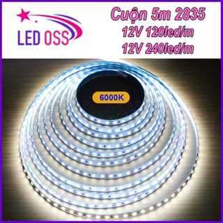  Đèn Led dây dán 12V 120 led m 2835 SMD dài 5m cao cấp dán thanh nhôm lắp tủ bếp hắt trần cầu thang dán gương 