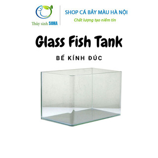 Bể kính đúc size 30 và 35cm | bể cá mini | hồ thủy sinh