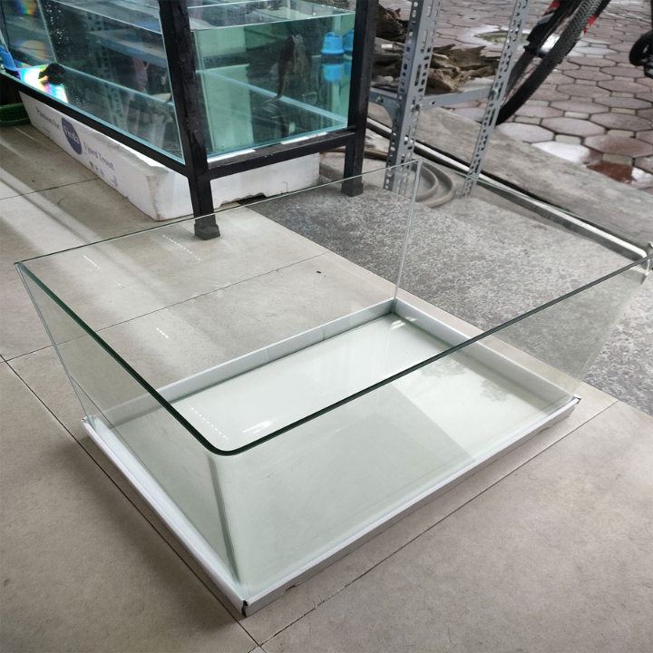 (HỎA Tốc) Bể kính đúc size 30 35 40 45 50 60cm | Bể cá mini vuông cạnh | làm Hồ thủy sinh  Hồ Tép nuôi cá siêu đẹp