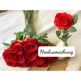 Hoa Hồng giả/ Hoa Hồng Hàn Quốc cành 1 bông dài 70 cm siêu đẹp