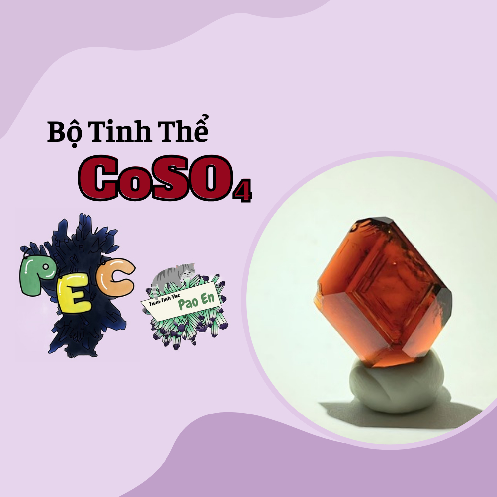 [CoSO4] Combo nuôi tinh thể ( có giấy hướng dẫn )