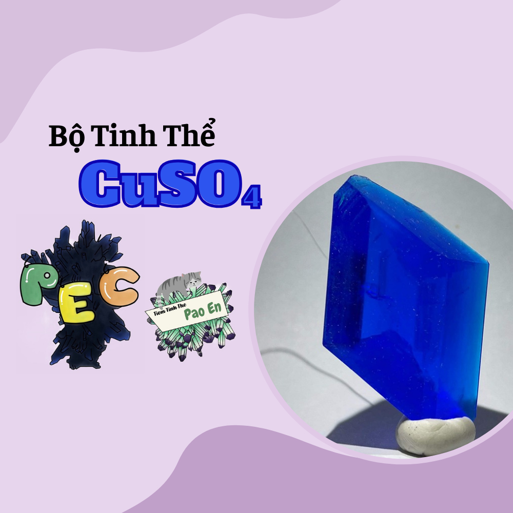 [CuSO4] Combo nuôi tinh thể xanh dương ( có giấy hướng dẫn )