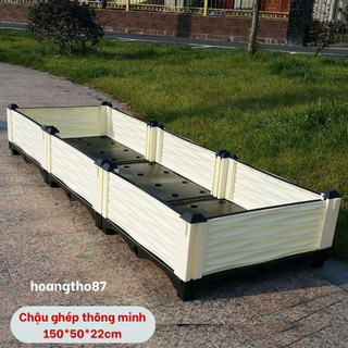 Chậu ghép trồng rau thông minh, luống ghép trồng rau tại nhà kích thước dài 150cm rộng 50cm cao 22cm hoangtho87