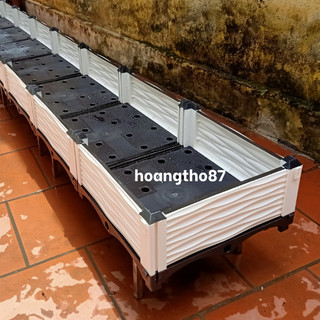 Chậu nhựa lắp ghép thông minh trồng rau sạch tại nhà dài 3.5m rộng 0.5m cao 22cm hoangtho87