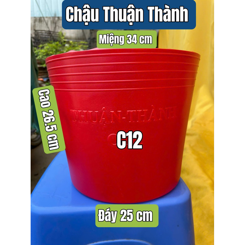 50 Cái Chậu Nhựa Mềm Thuận Thành-Mẫu C12 Đỏ