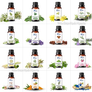 Tinh dầu thiên nhiên nguyên chất lọ 10ml, thơm phòng, đuổi muỗi, xông mặt, massage - Thảo dược Hạnh Nguyên
