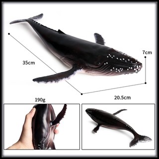 Mô hình động vật mô hình cá voi size lớn Cá nhà táng Cá voi lưng gù